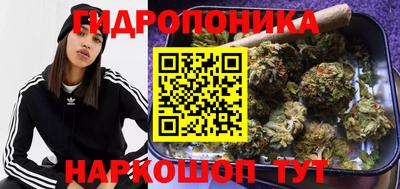 твердый Канаш