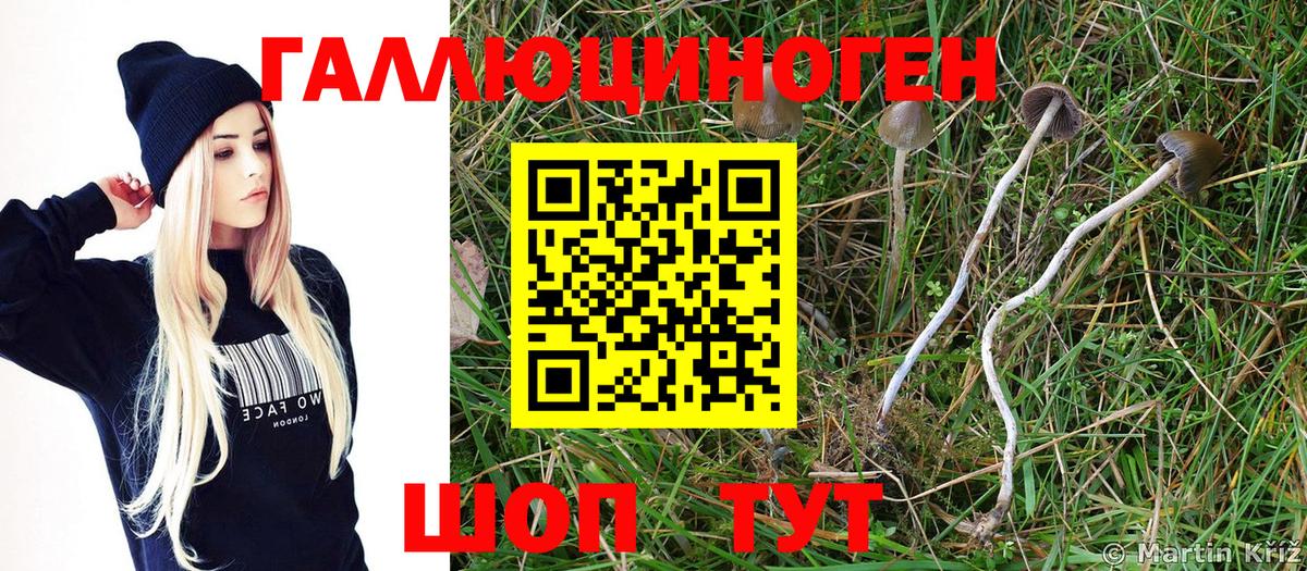 Псилоцибиновые грибы MAGIC MUSHROOMS Благовещенск